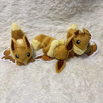 서있는 이브이, 낮잠 자는 이브이, 러닝 이브이