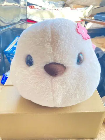 시마연가 봉제 인형