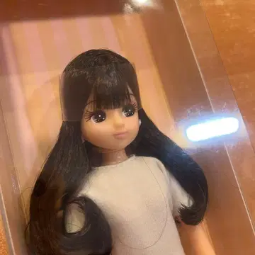 리카짱 캐슬 2025년판 일본 니혼바시 아이콘 모델 리카짱