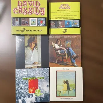 AOR 4장 종이 자켓 CD 데이비드 캐시디 / 박스 세트