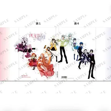 PEACH PIT 25주년 기념 화집 로젠 메이든 슈고캬라!