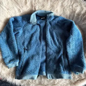 Patagonia 플리스 자켓 파랑
