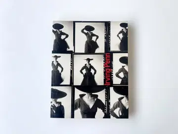 Irving Penn: a career in photography