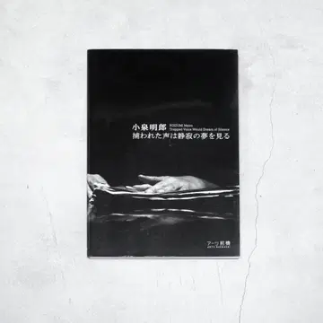 코이즈미 아키오 포착된 목소리는 정적의 꿈을 꾼다