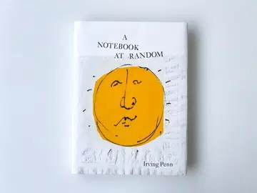 A Notebook at Random by Irving Penn