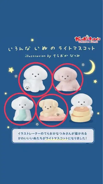 다양한 강아지 라이트 마스코트 테라오카 나츠미