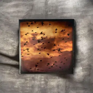 HEATWAVE 석양을 향한 팬파레 앨범 CD