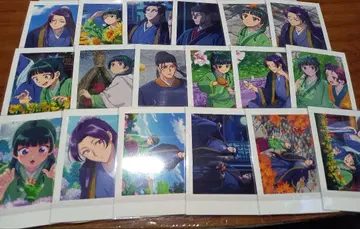 약사의 혼잣말 파샤코레