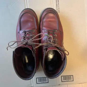 REDWING 8875 가죽 신발