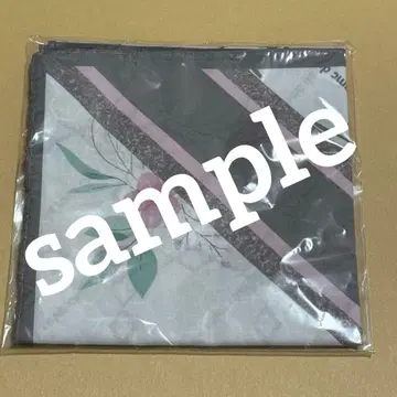 유메시로 아야 스톨