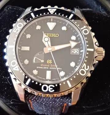 그랜드세이코 SBGA031 다이버 브라이트 티타늄 스프링 드라이브