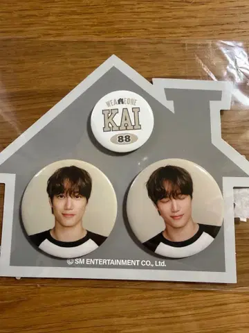 EXO'verse MD 카이 KAI 캔뱃지