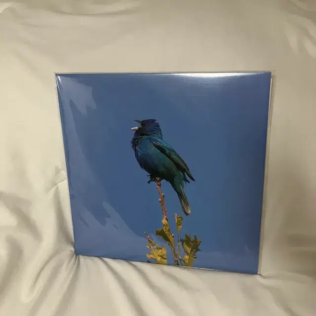 윤지영 blue bird LP 레어앨범