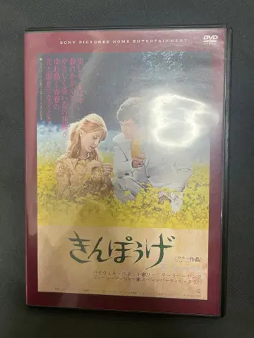금꿩의 회상 DVD 복각 시네마 라이브러리 로버트 에리스 거울