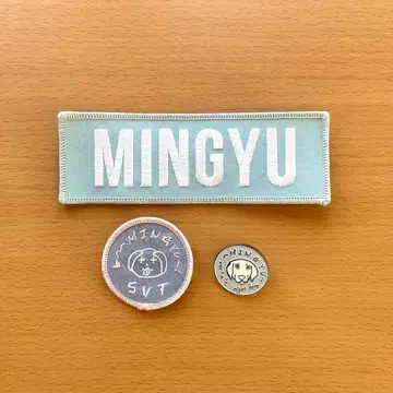 SEVENTEEN MINGYU 와펜 핀즈