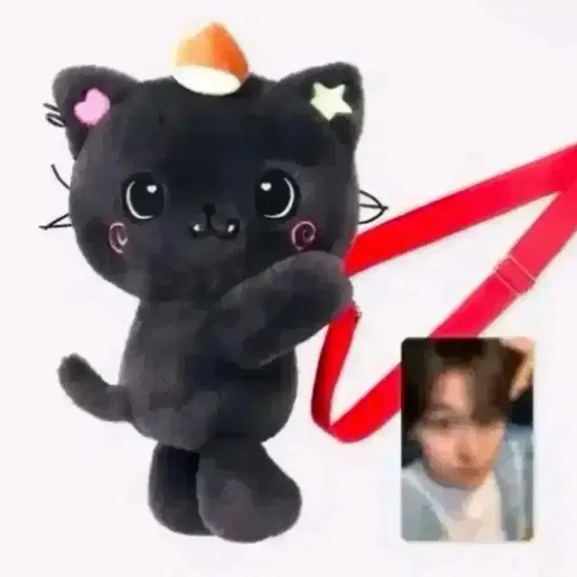 엔시티위시 리쿠 로그인 응원봉 가방