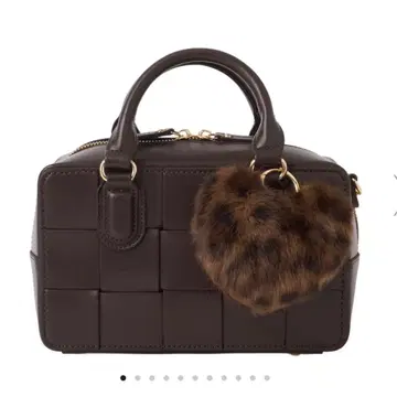 DIANA 와이드 메쉬 미니 보스턴