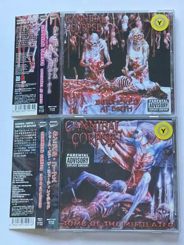 칸니발 코프스 렌탈 업 세트