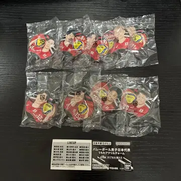 배구 남자 일본 대표 부채 아크릴 참 9종 세트