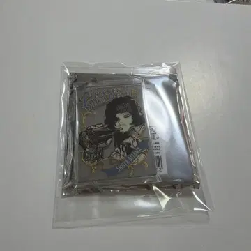 나의 히어로 아카데미아 퍼블릭 미러 아이자와