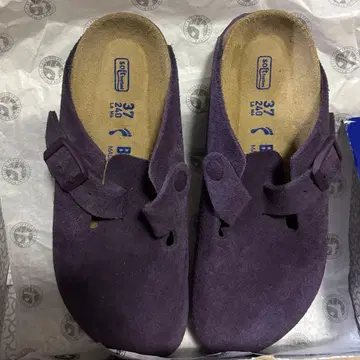 Birkenstock 보스턴 퍼플 보라색 보스턴 37