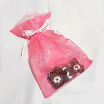 디즈니씨 D24 칩&데일 러버 키링