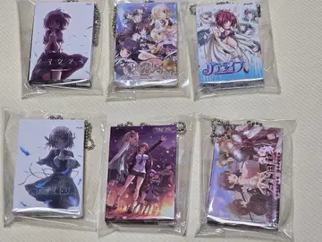 퍼플소프트웨어 패키지 키링