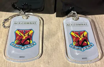 에이스 컴뱃 30th 보틀 키퍼풍 아크릴 키링 에스퍼다 부대