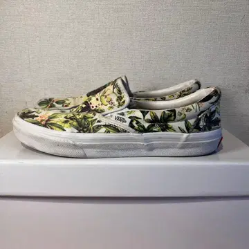 VANS 플로럴 프린트 슬립온