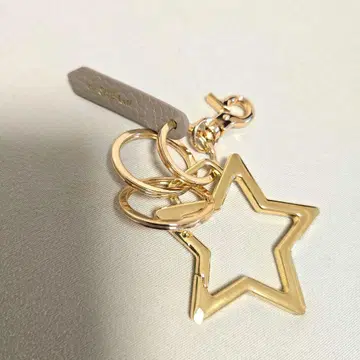 HASHIBAMI 별 모양 참 골드