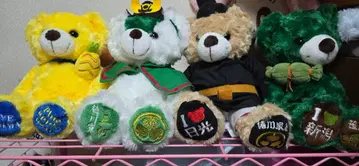 지역 한정 곰 봉제 인형 도쿠가와 이에야스 오키나와 니가타 도치기