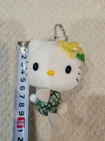 헬로키티 하이비스커스 봉제 인형 마스코트 2009년 에이코