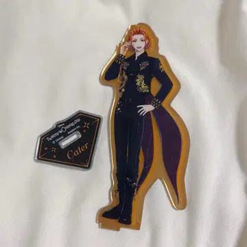 트위스테 브레이징 주얼 3D 라이브 거울 아크릴 스탠드 케이트