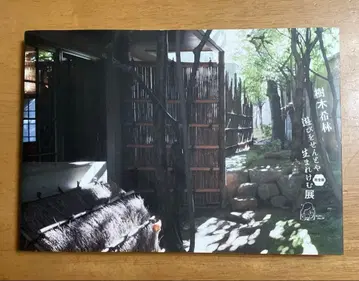 키키 키린 놀이를 하지 않으려고 태어났는가 전시 완전판