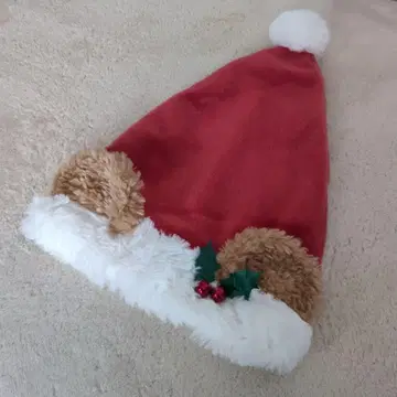 Disney 더피 산타 모자 크리스마스 호랑가시나무 디즈니씨