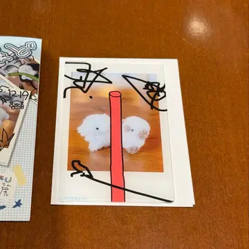 조세마루 팝업 체키포토카드