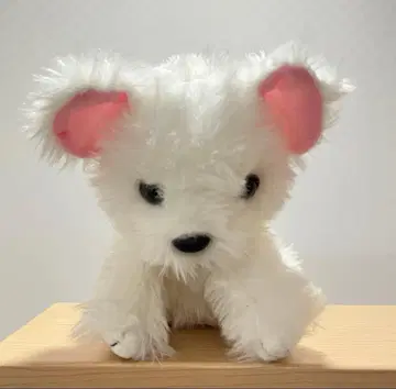 어서 와 강아지 치와말