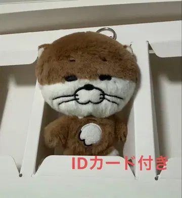 BOYNEXTDOOR 보넥도 BBNEXDO 푸넥도 리우 달링