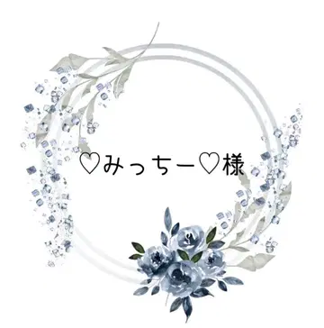 밋치 님 묶음. 레진 감사 세일