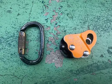 KONG 백업 콩 백업