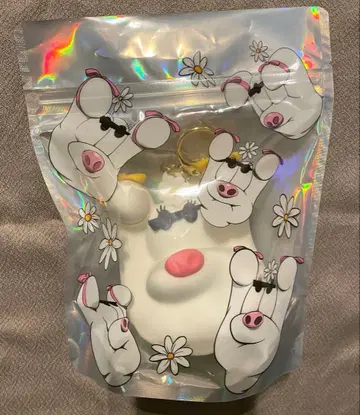 센가 켄토 FiNGAiSM 코인 케이스 Aimee