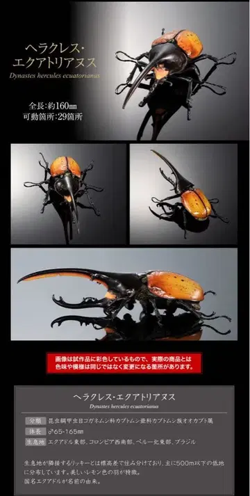 헤라클레스 에콰토리아누스 생물대도감 어드밴스