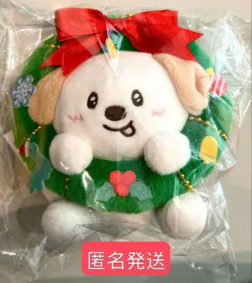 RIIZE 109 마스코트 키링 트레이딩 카드 앤톤 ANTON