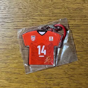 이시카와 유키 메지루시 참 표식 액세서리 남자 배구 일본 대표 14