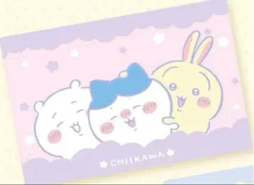 치이카와 초 BIG 마이어 담요 치이카와 하치와레 토끼