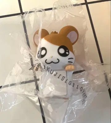 햄스터 쥐 일번복권 h상