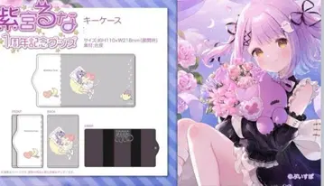 브이스포 시로미야 루나 키케이스