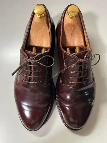 enzo bonafe 엔초보나페 코도반 버건디 6