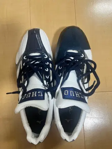 미즈노 프로 오더 스파이크