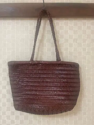 dragon diffusion풍 메쉬 토트백